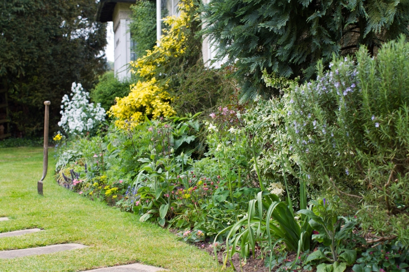 Meadow Cottage